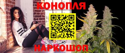 индика Краснознаменск