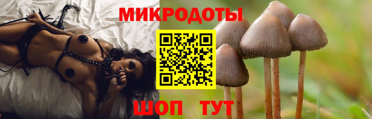 Галлюциногенные грибы Cubensis  Вход с VPN  Юрга  Галлюциногенные грибы Cubensis 